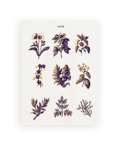 Lissie FLORAL POSTER $7.03 Decor