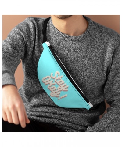 Eddie Island Fanny Pack - Stay Okay $9.72 Bags